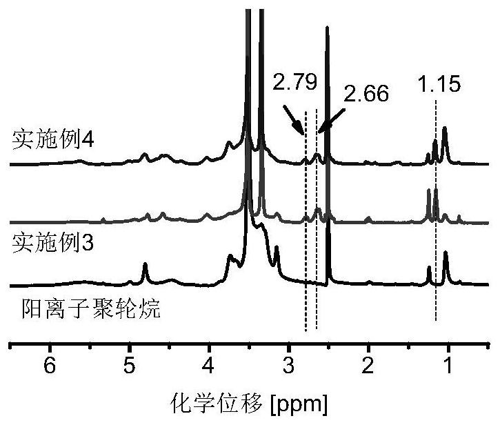 Multifunctional self-repairing adhesive for lithium-sulfur battery positive electrode, preparation method and application thereof