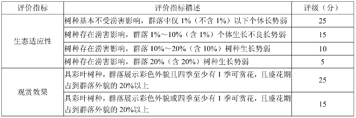 Method for constructing wind-resistant landscape forest of coastal city river