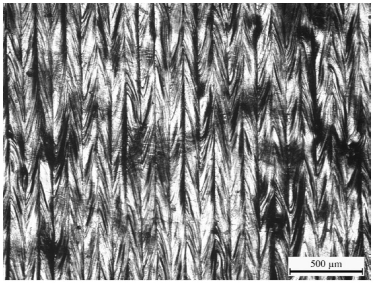 Additive manufacturing technology-based pure titanium or titanium alloy surface micro/nano structure constructing method and application