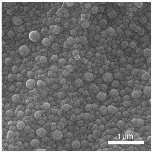 Additive manufacturing technology-based pure titanium or titanium alloy surface micro/nano structure constructing method and application