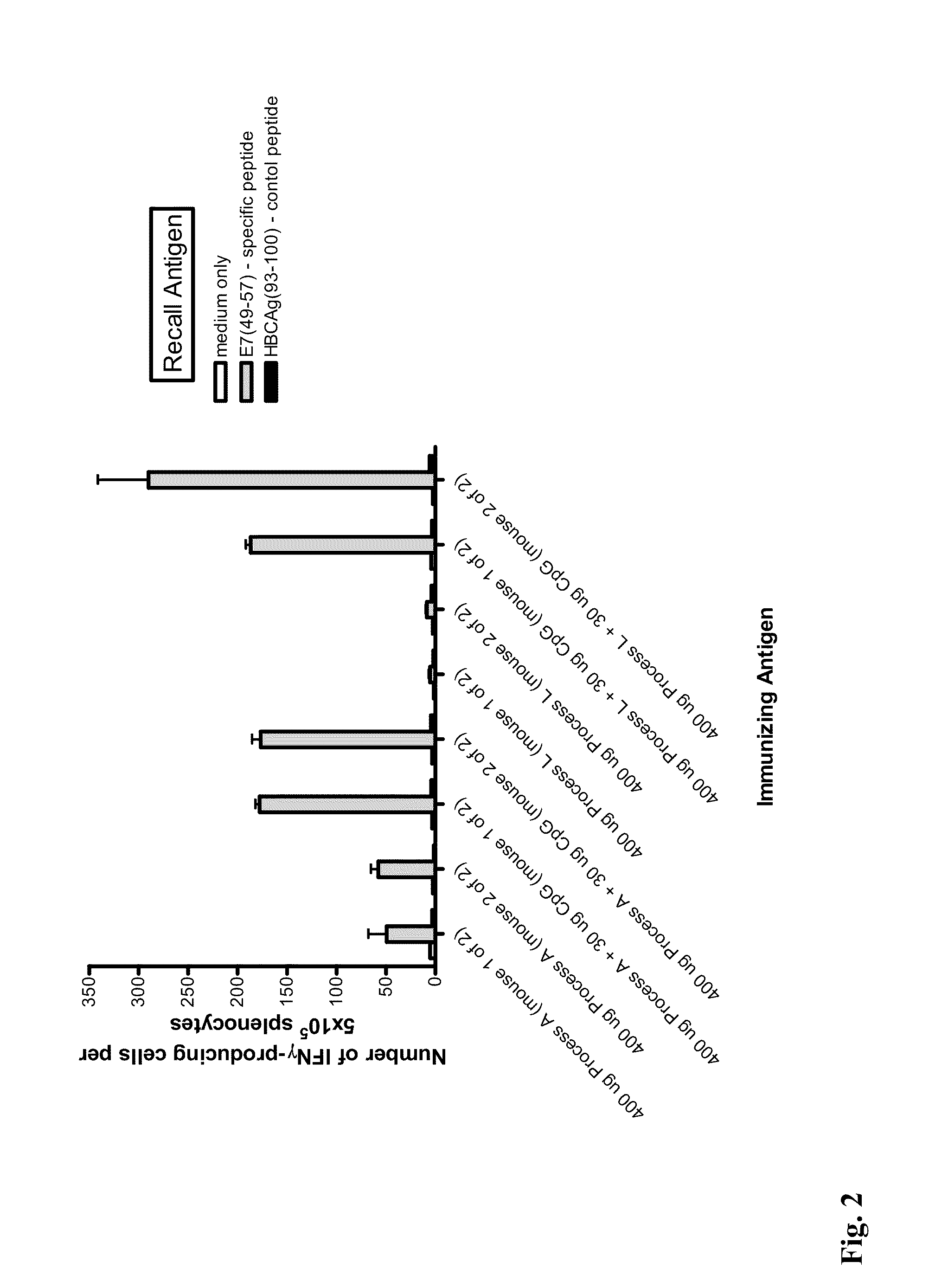 Bioactive purified hspe7 compositions