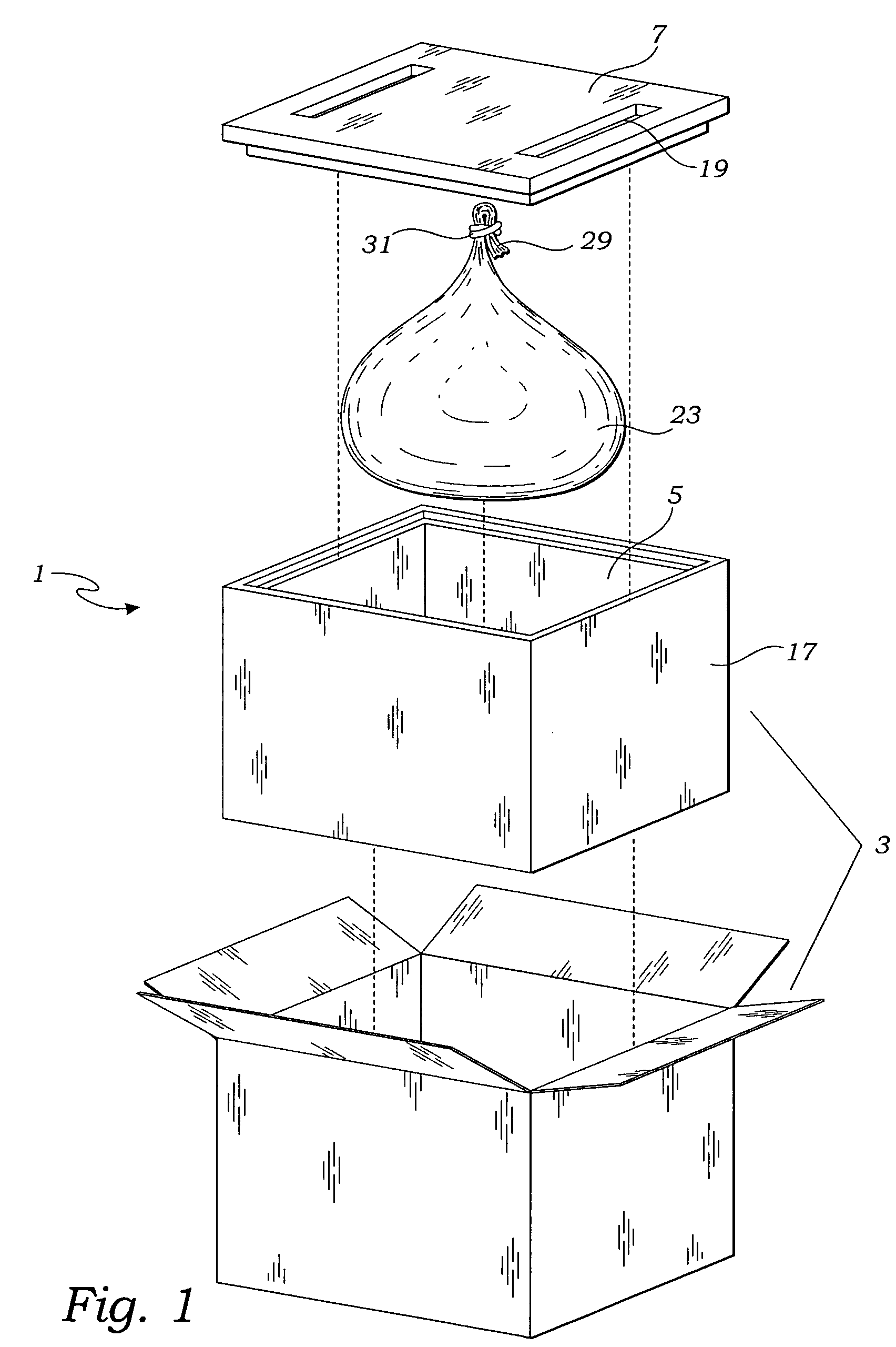 Method of shipping container with expanding bag