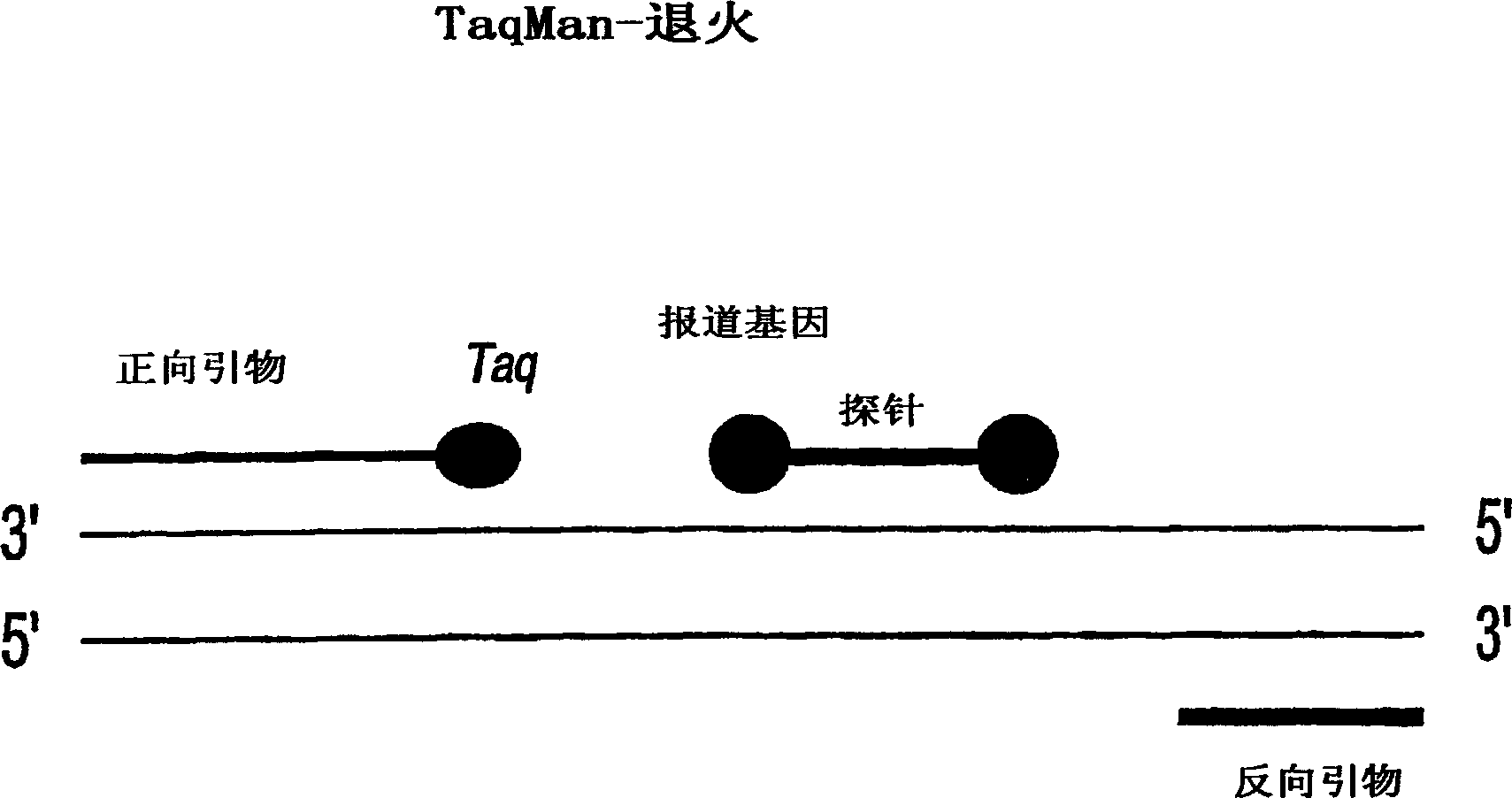 Methods and compositions for analysis of urine samples in the diagnosis and treatment of kidney diseases