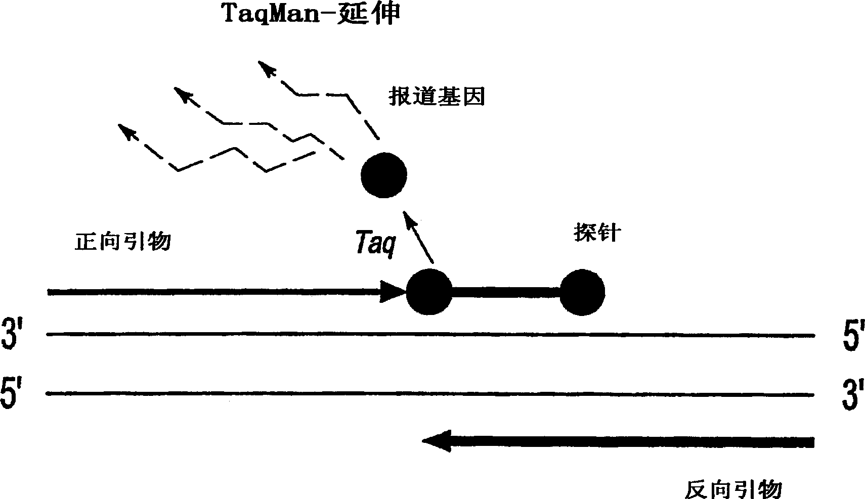 Methods and compositions for analysis of urine samples in the diagnosis and treatment of kidney diseases