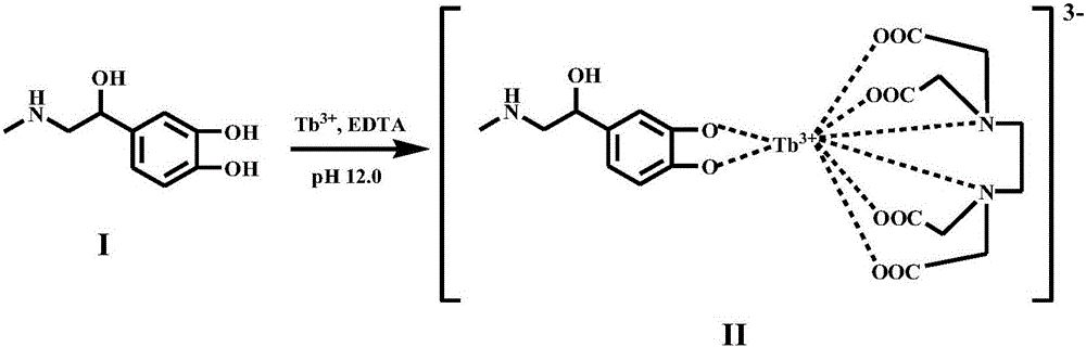 Method for detecting adrenaline by metal-terbium fluorescent probe and use of method