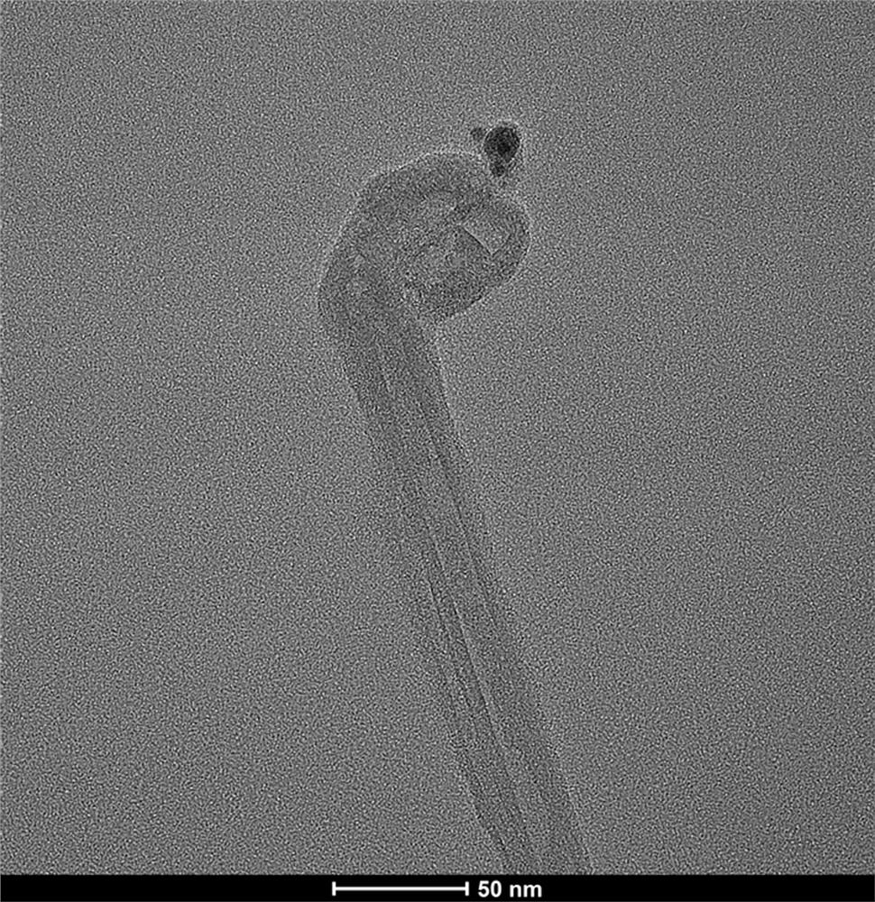 Method for removing perfluorooctanoic acid in water by using lignin-based carbon nanotubes