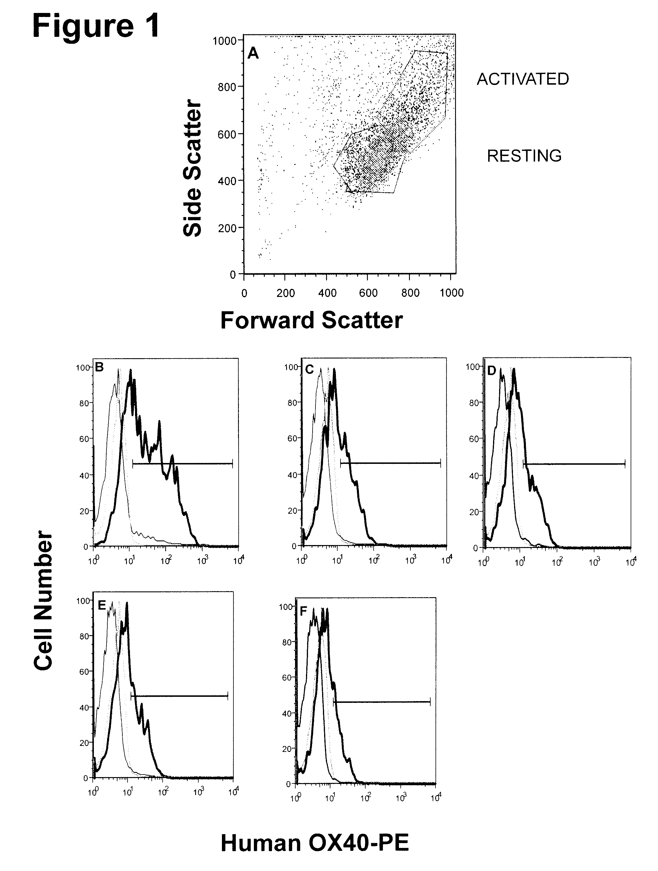 Human monoclonal antibody human CD134 (OX40) and methods of making and using same