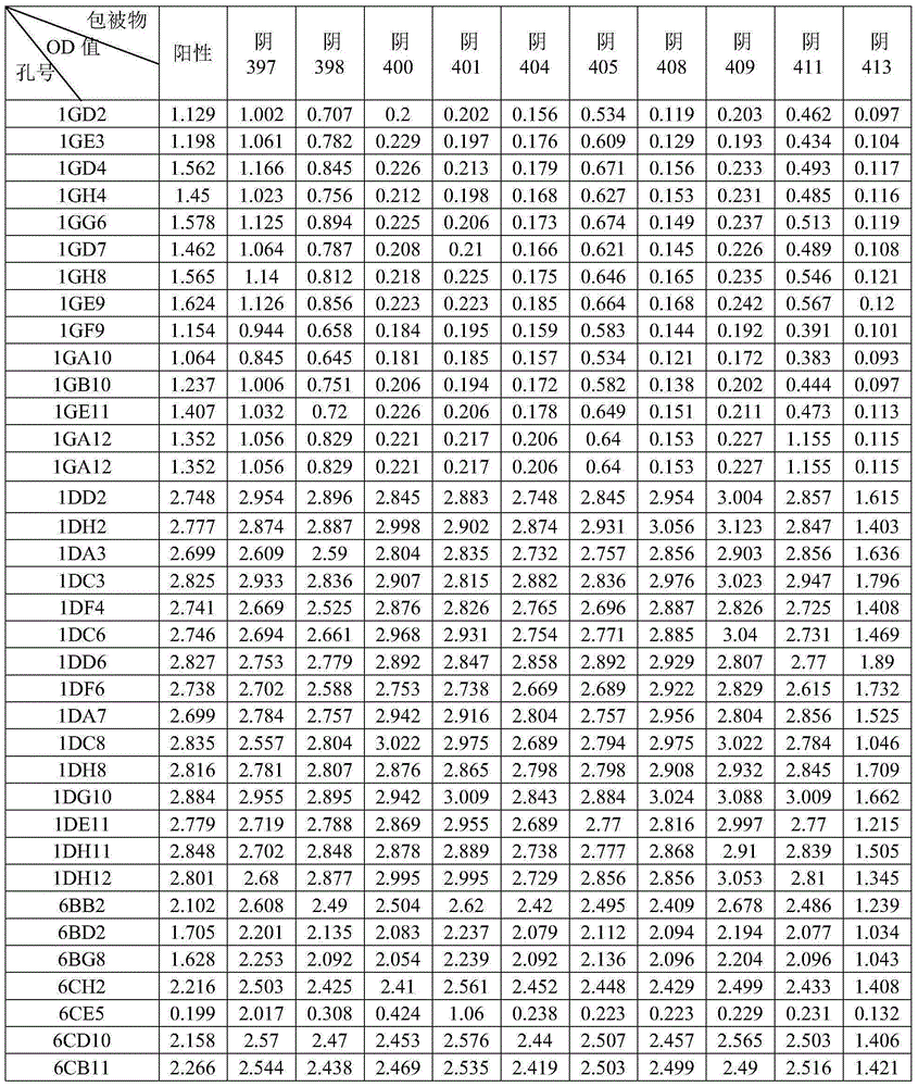 CyHV-2 (Cyprinid Herpesvirus 2) monoclonal antibody, hybridoma cell and application of CyHV-2 monoclonal antibody