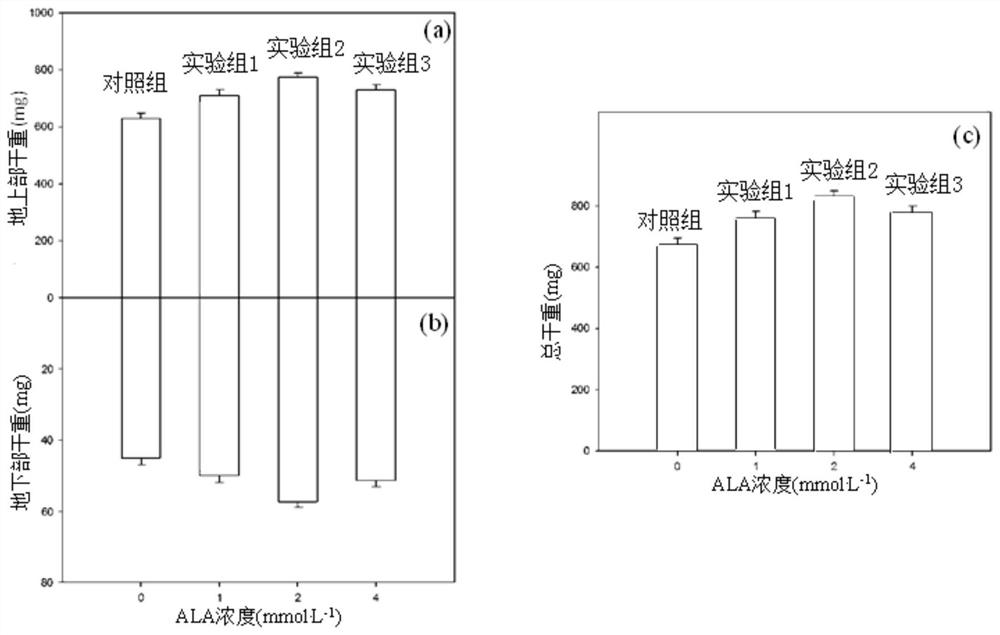 A method for increasing the content of chamomile α-bisabolol