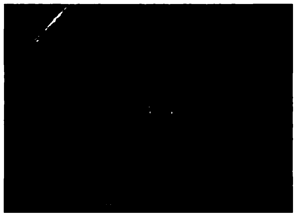 Nanometer fiber air purifying material with chitosan powder on surface and preparation method of nanometer fiber air purifying material