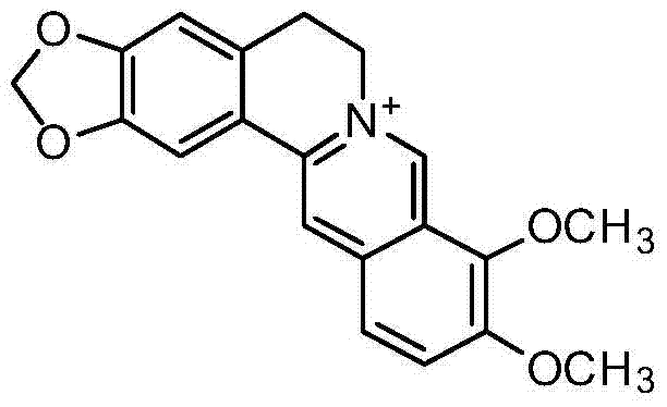 Application of berberine in the preparation of marine fouling biological control agent