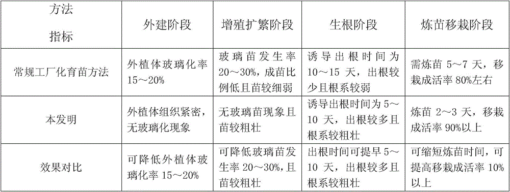 Industrialized seedling culture method for detoxified health sugarcane seedlings