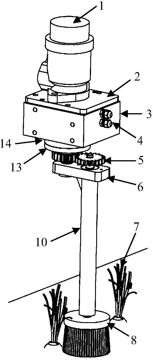 Planetary brush type inter-plant hoeing device