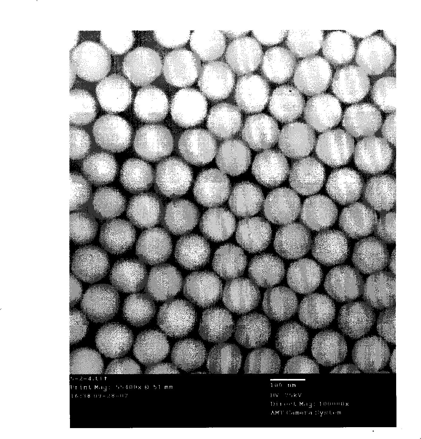 Method for preparing bisphenol A nanometer silicon gel carrier surface molecule print solid phase extraction filling