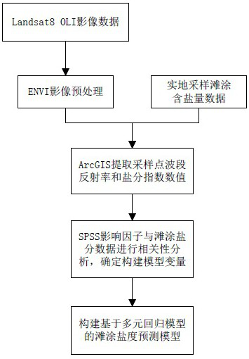 Coastal mud flat salinity inversion method based on remote sensing satellite image