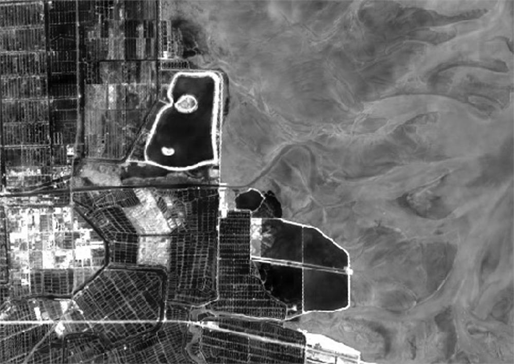 Coastal mud flat salinity inversion method based on remote sensing satellite image