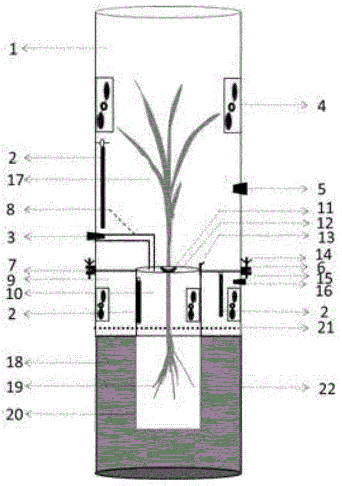 A method and device for distinguishing rice, rice rhizosphere and non-rhizosphere respiration