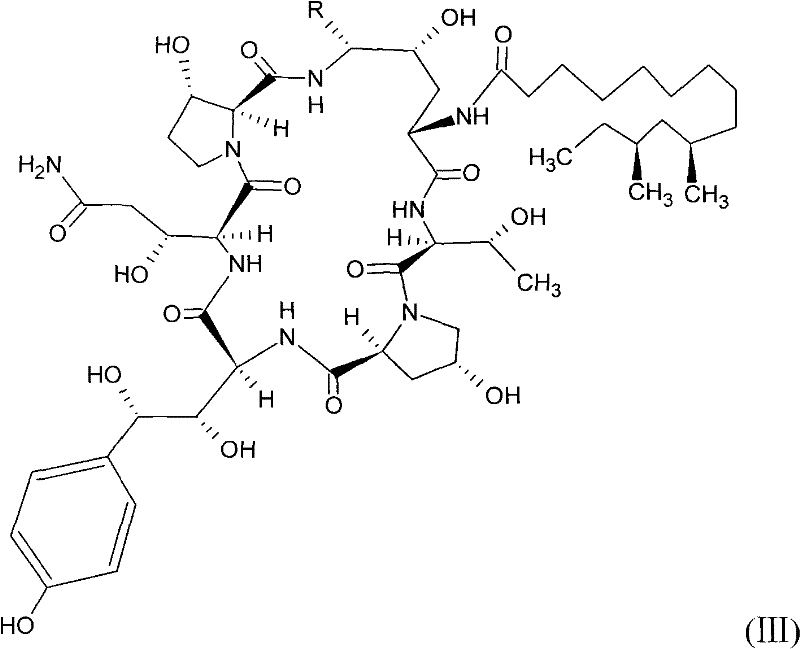 Safer preparation method of echinocandin antifungal medicament