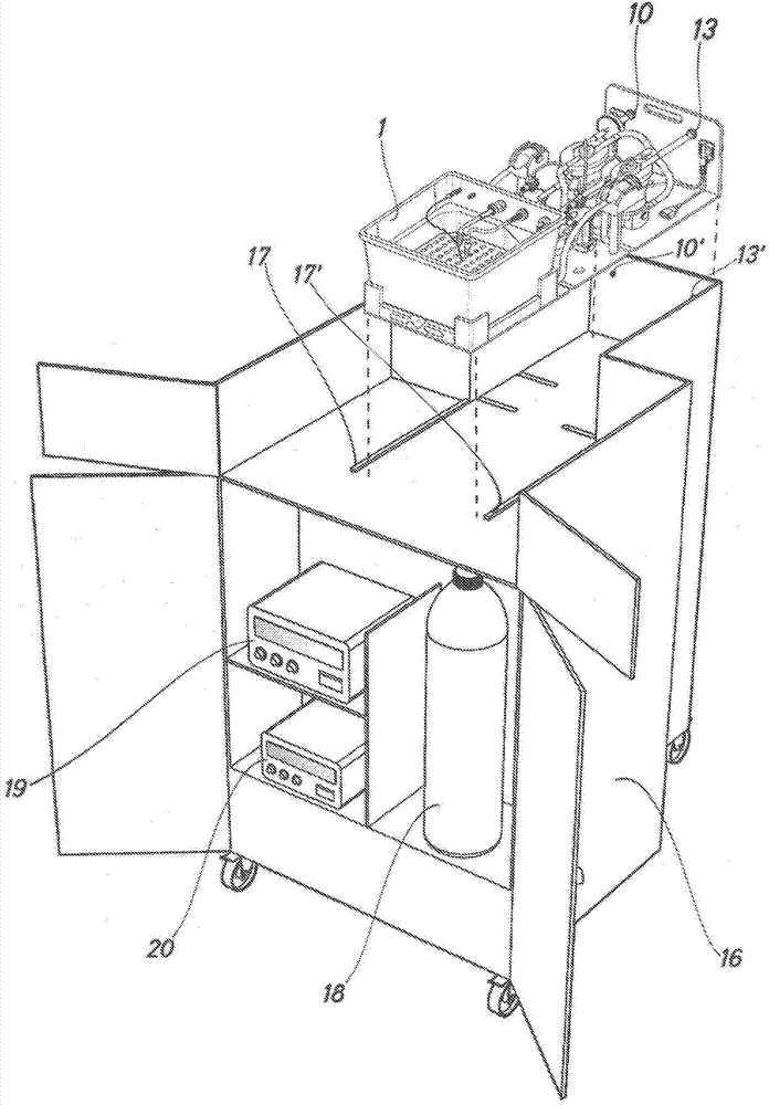 Device for the perfusion of a liver graft