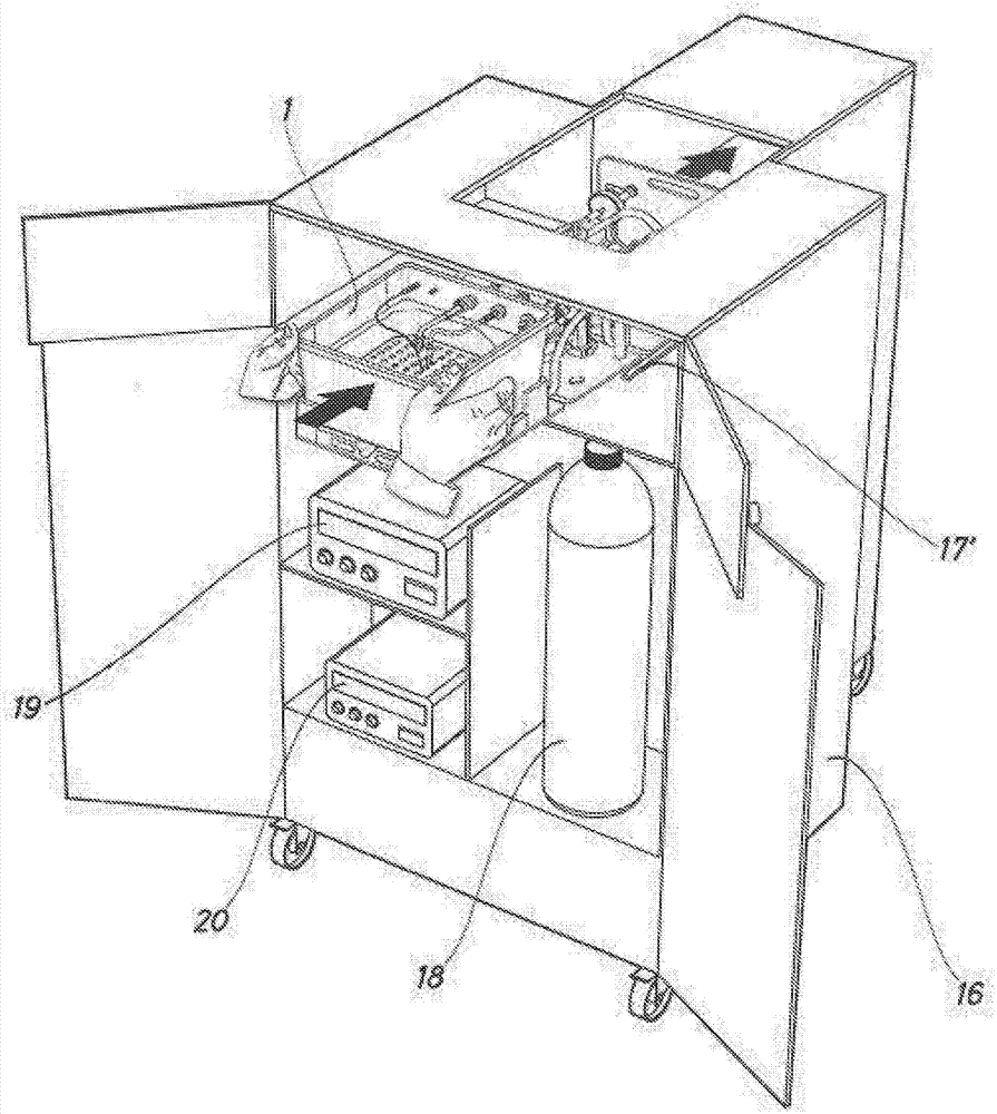 Device for the perfusion of a liver graft