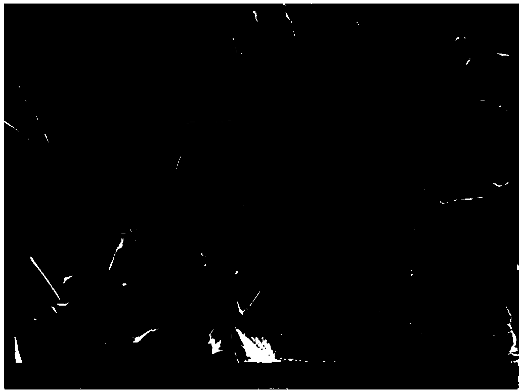 Preparation method of graphene flame retardant polyamide fiber