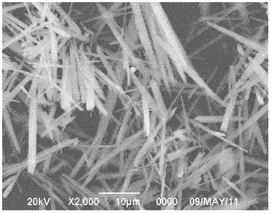 Method for preparing basic ammonium aluminum carbonate hydroxide whisker and aluminum oxide whisker co-production liquid sodium silicate from bentonite