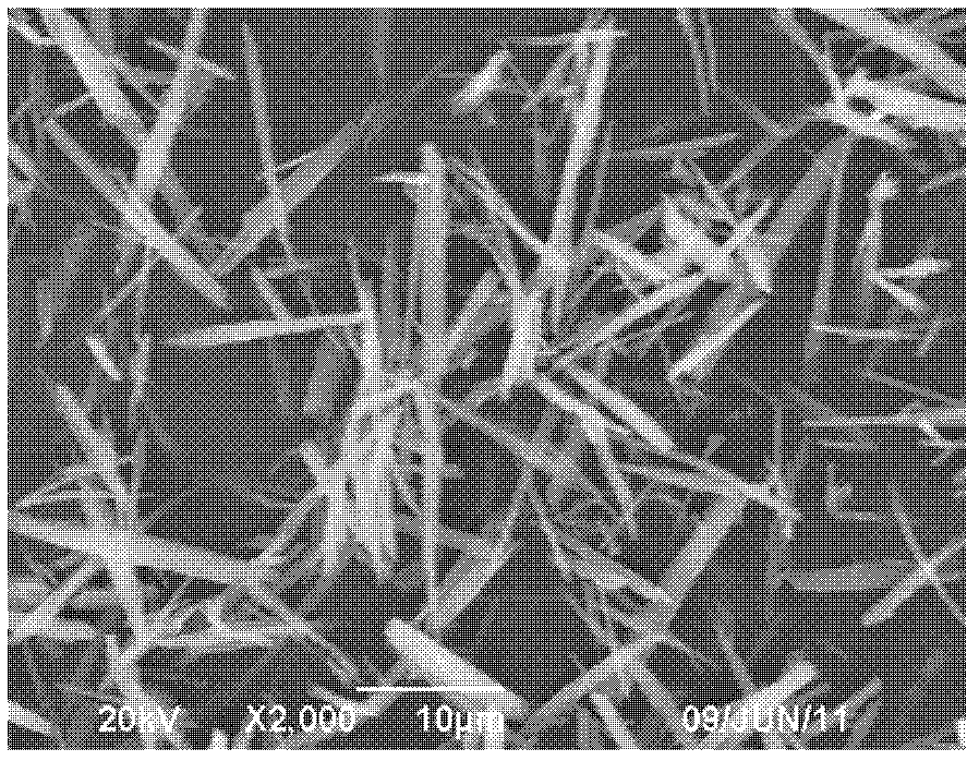 Method for preparing basic ammonium aluminum carbonate hydroxide whisker and aluminum oxide whisker co-production liquid sodium silicate from bentonite