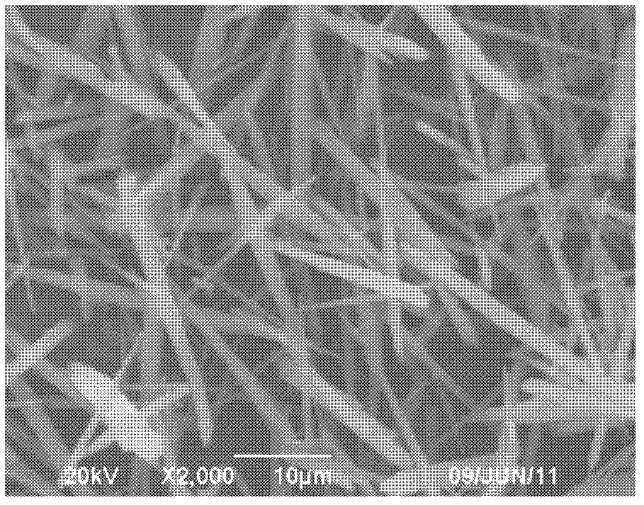 Method for preparing basic ammonium aluminum carbonate hydroxide whisker and aluminum oxide whisker co-production liquid sodium silicate from bentonite