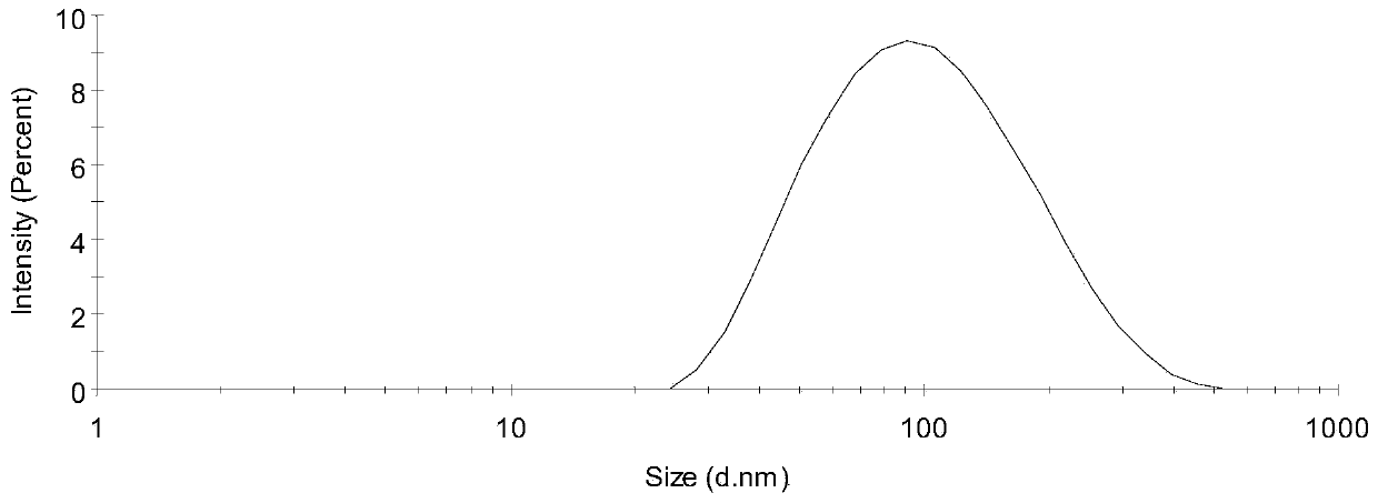 Drug-loaded bacterial outer membrane vesicle,and preparation method and application thereof