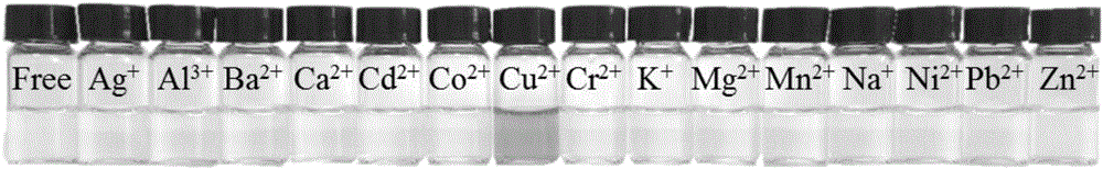 High-water-solubility rhodamine-based polyion liquid and preparation method and application thereof