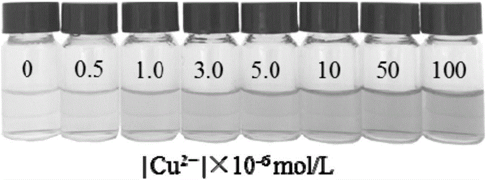 High-water-solubility rhodamine-based polyion liquid and preparation method and application thereof