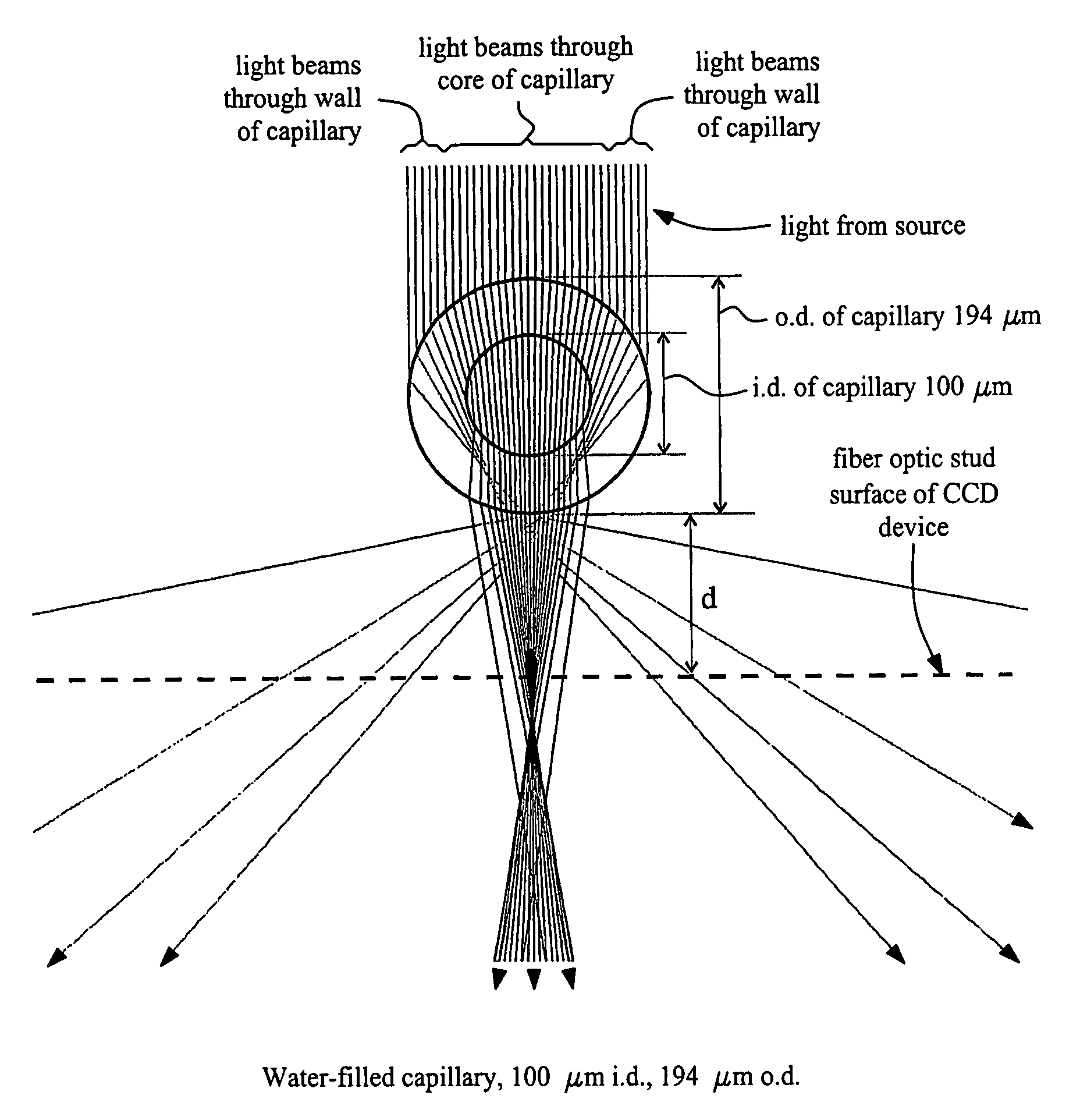 Optical assembly and method for detection of light transmission