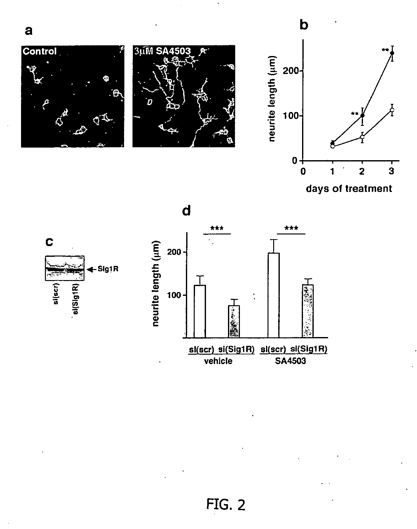 Sigma ligands for neuronal regeneration and functional recovery