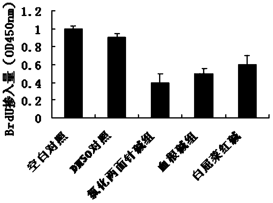 Application of chlorinated limpetine and its derivatives in the preparation of medicines for preventing and treating skin diseases