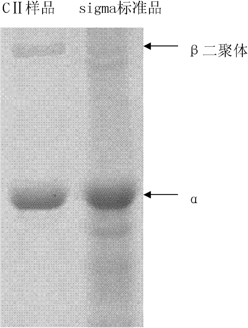 II-type collagen joint cartilage fluid and preparation method thereof