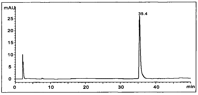 Rhodococcus strain for degrading 3-nitrotoluene, as well as preparation method and use