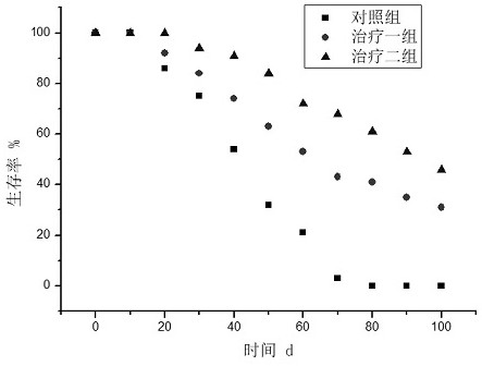 Universal chimeric antigen receptor T cell targeting claudin 18.2, construction method and application of universal chimeric antigen receptor T cell