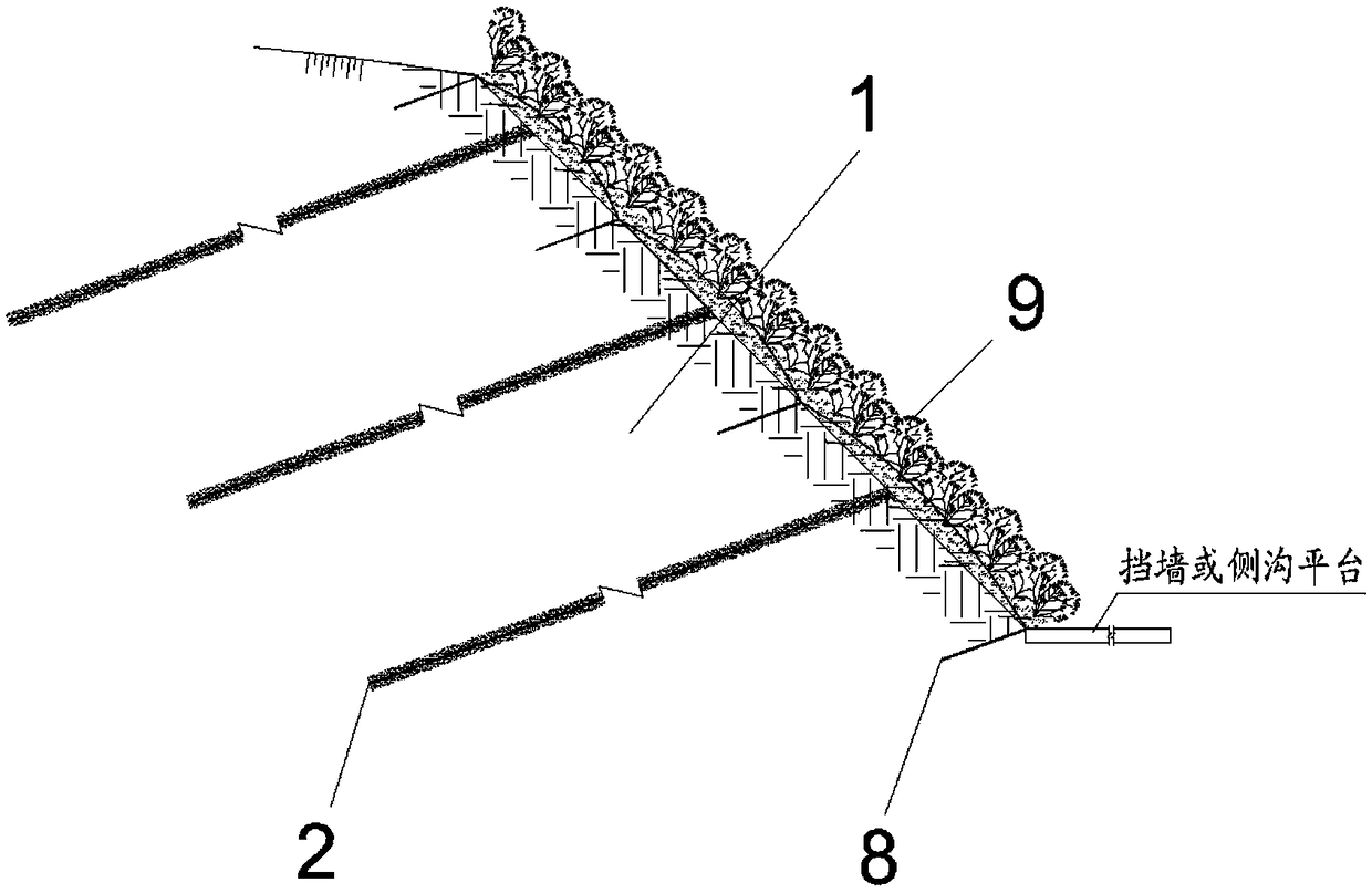 High speed railway rocky cut slopeecological protection structure and construction method thereof