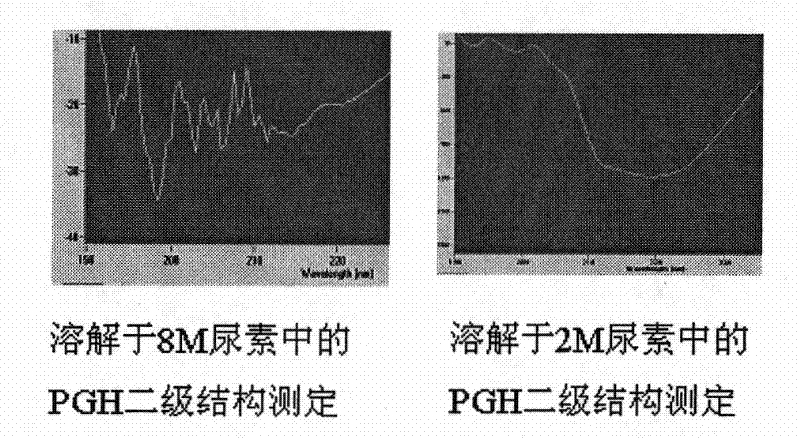 Artificially synthesized pig growth hormone gene and expression and purification method thereof