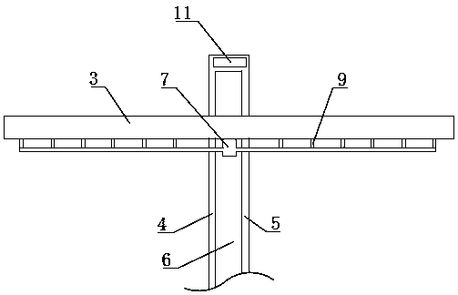 Sprinkling irrigation device for dendrobium candidum