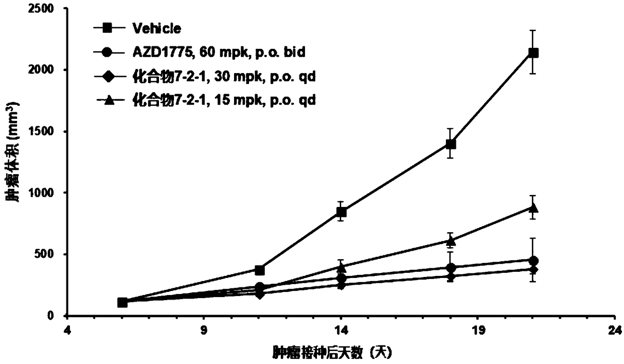 Pyrazolo[3,4-d]pyrimidine-3-ketone derivative as well as drug composition and application thereof