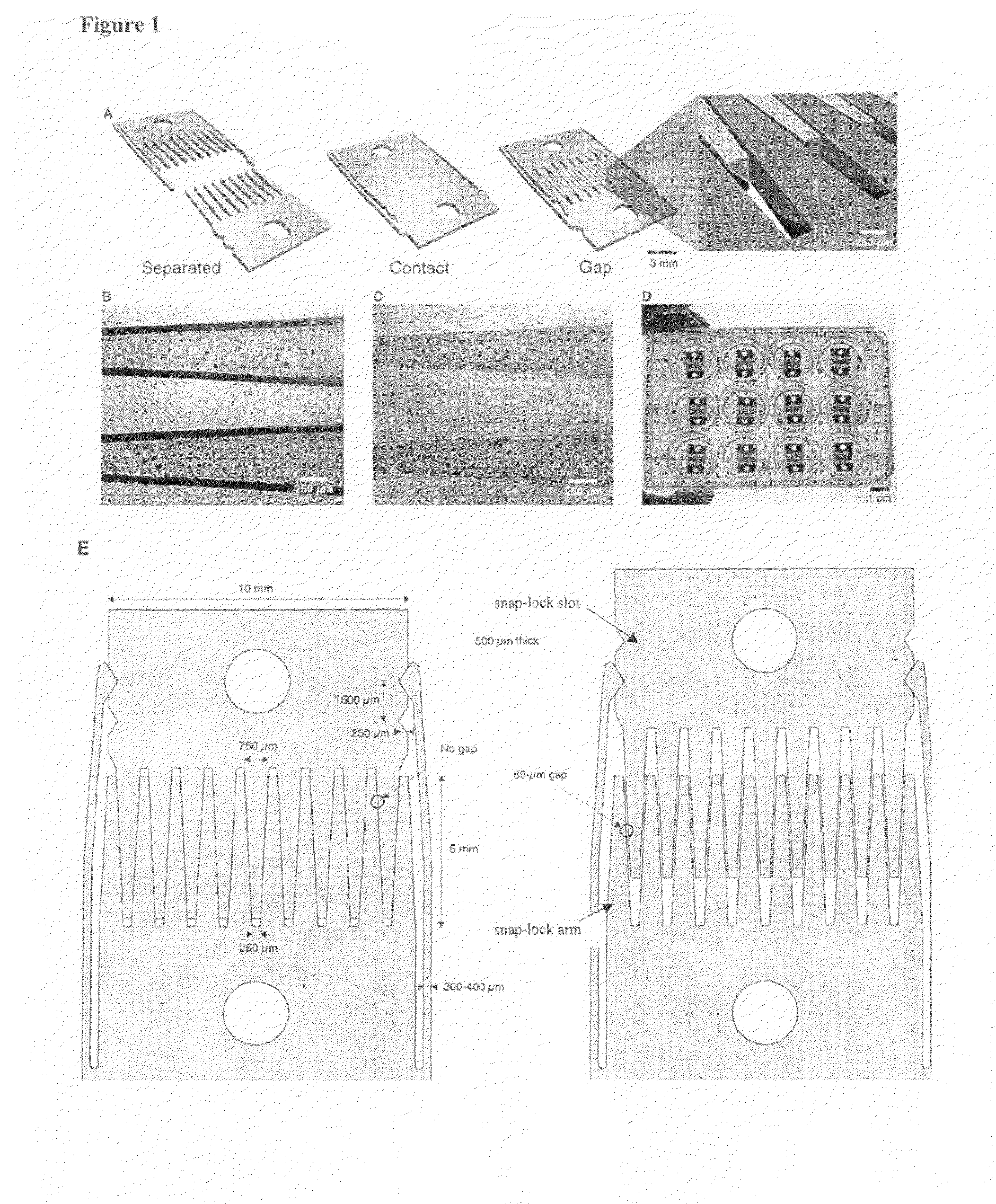 Micromechanical devices for control of cell-cell interaction, and methods of use thereof