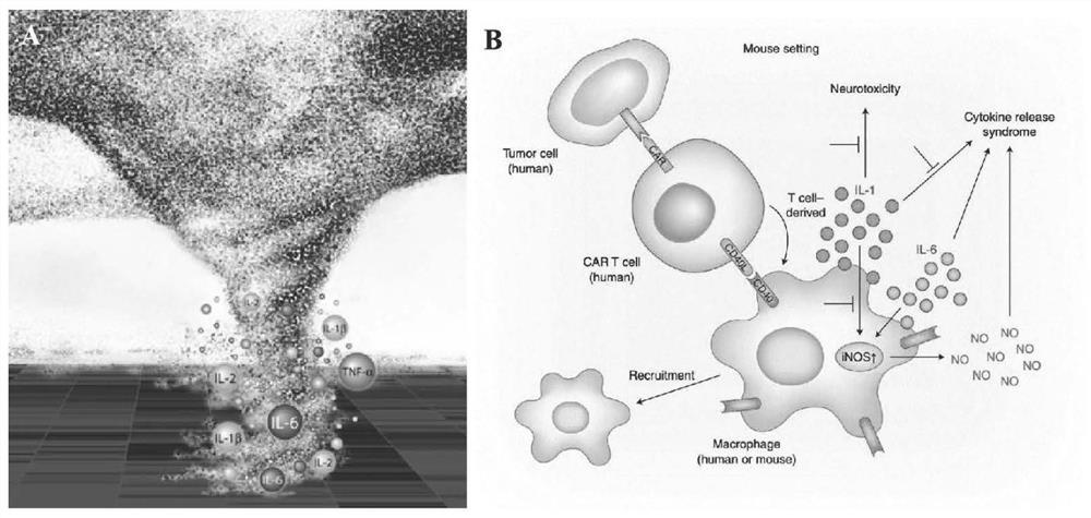 The invention also discloses application of CDK7 targeting inhibitor in preparation of drugs for treating cytokine release syndrome