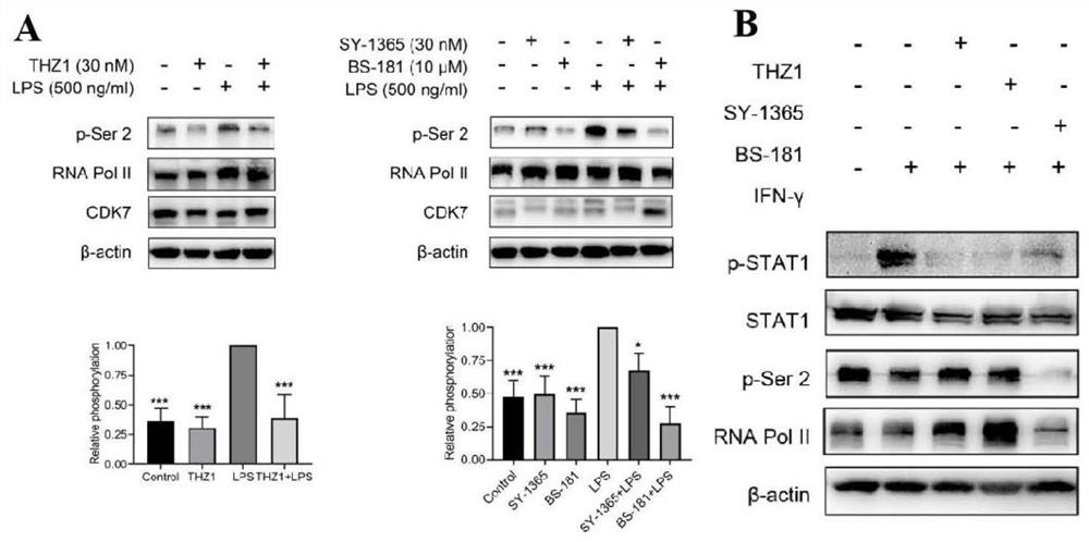 The invention also discloses application of CDK7 targeting inhibitor in preparation of drugs for treating cytokine release syndrome