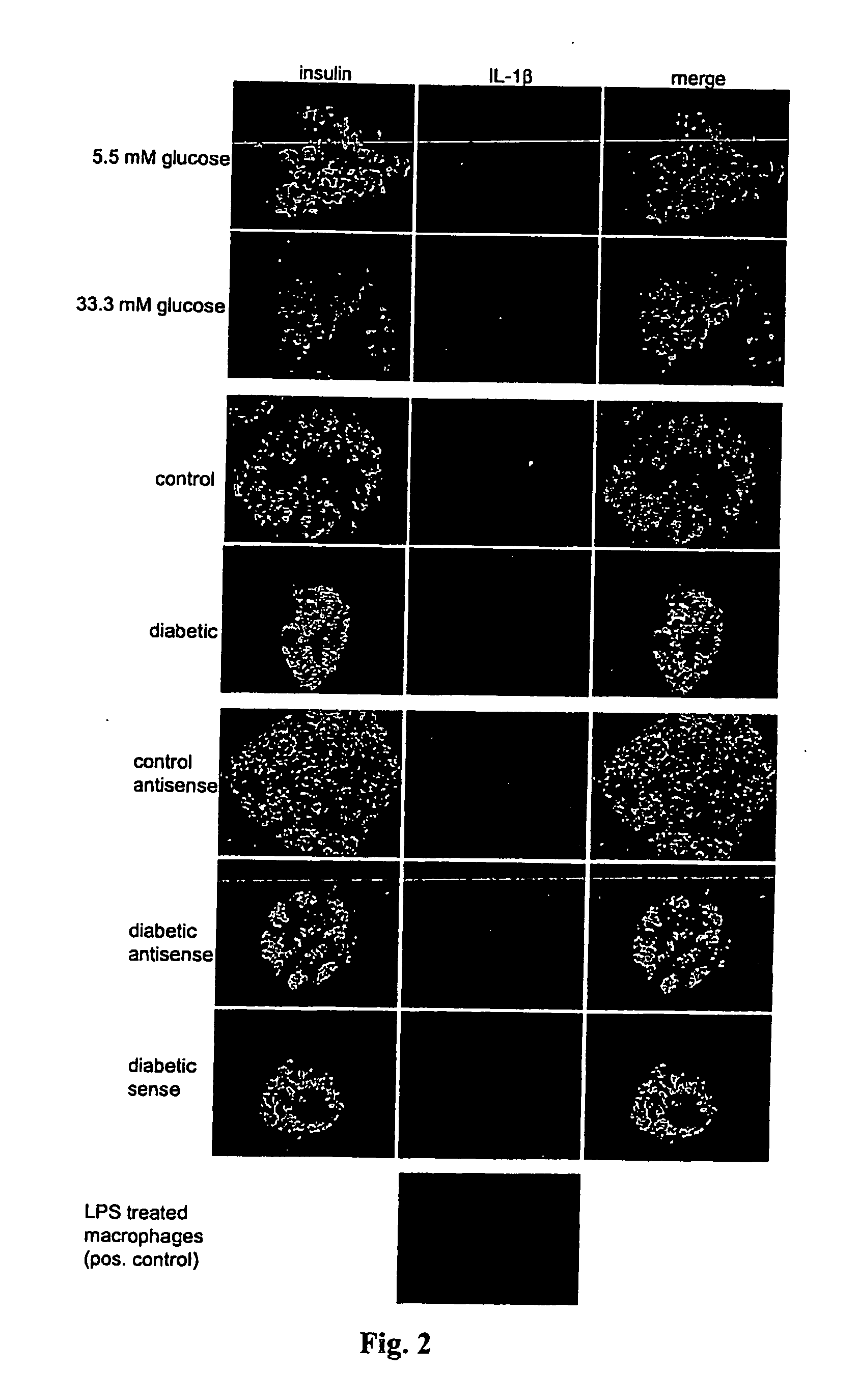 Fuel reforming device