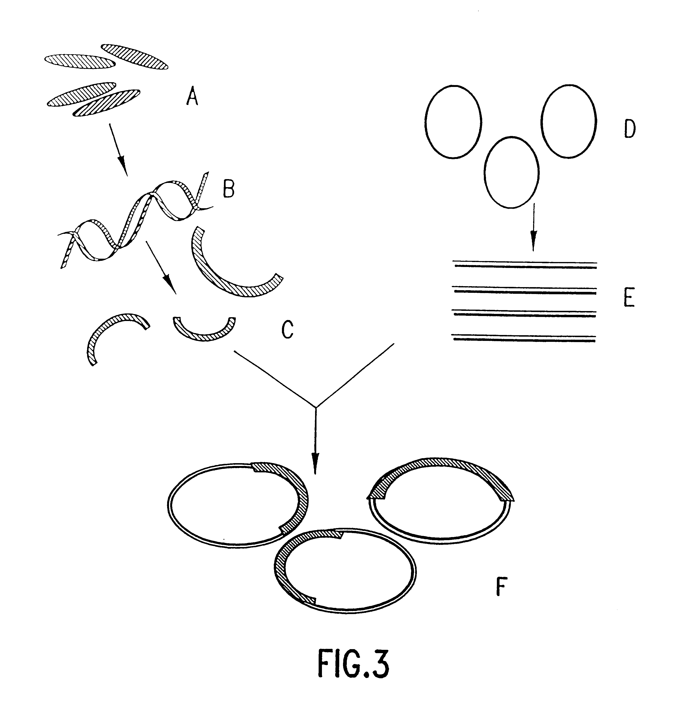 Methods for generating and screening novel metabolic pathways