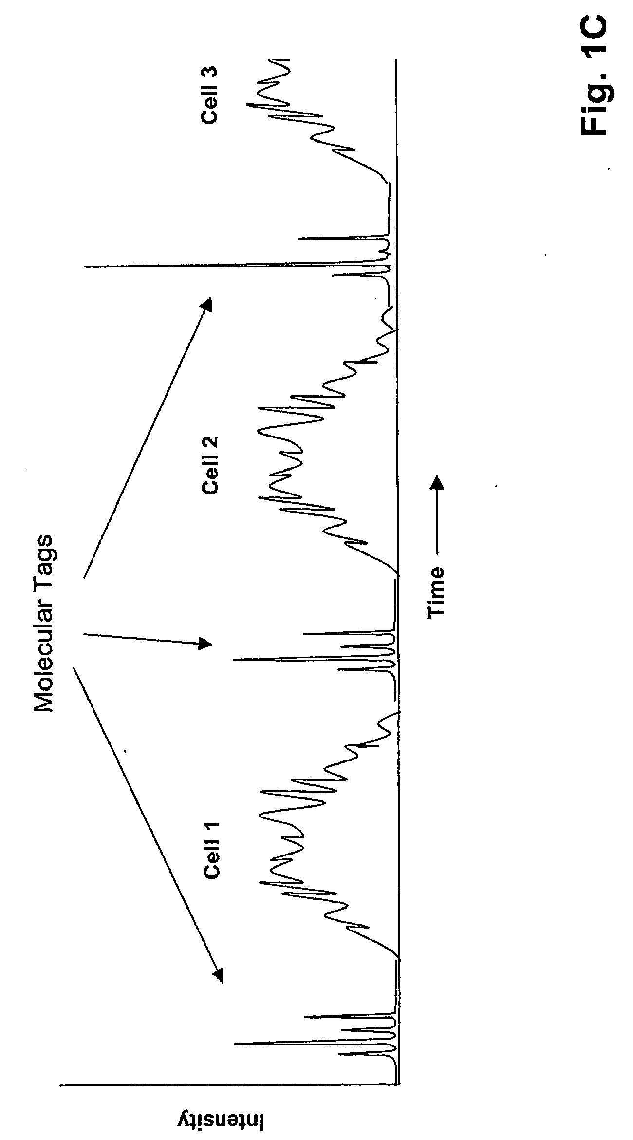 Single Cell Analysis of Membrane Molecules