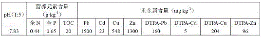 In-situ remediation method for mining area watershed heavy metal pollution bottom sludge