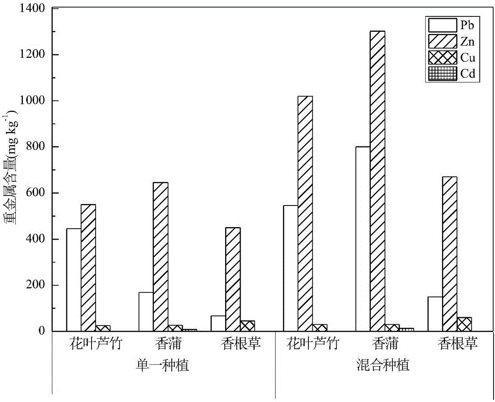 In-situ remediation method for mining area watershed heavy metal pollution bottom sludge