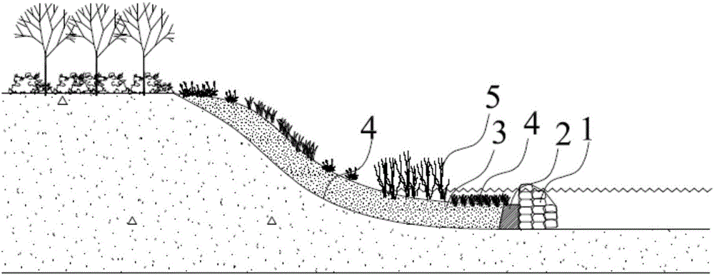 In-situ remediation method for mining area watershed heavy metal pollution bottom sludge